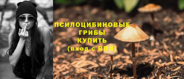 spice Лиски