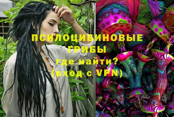 spice Лиски
